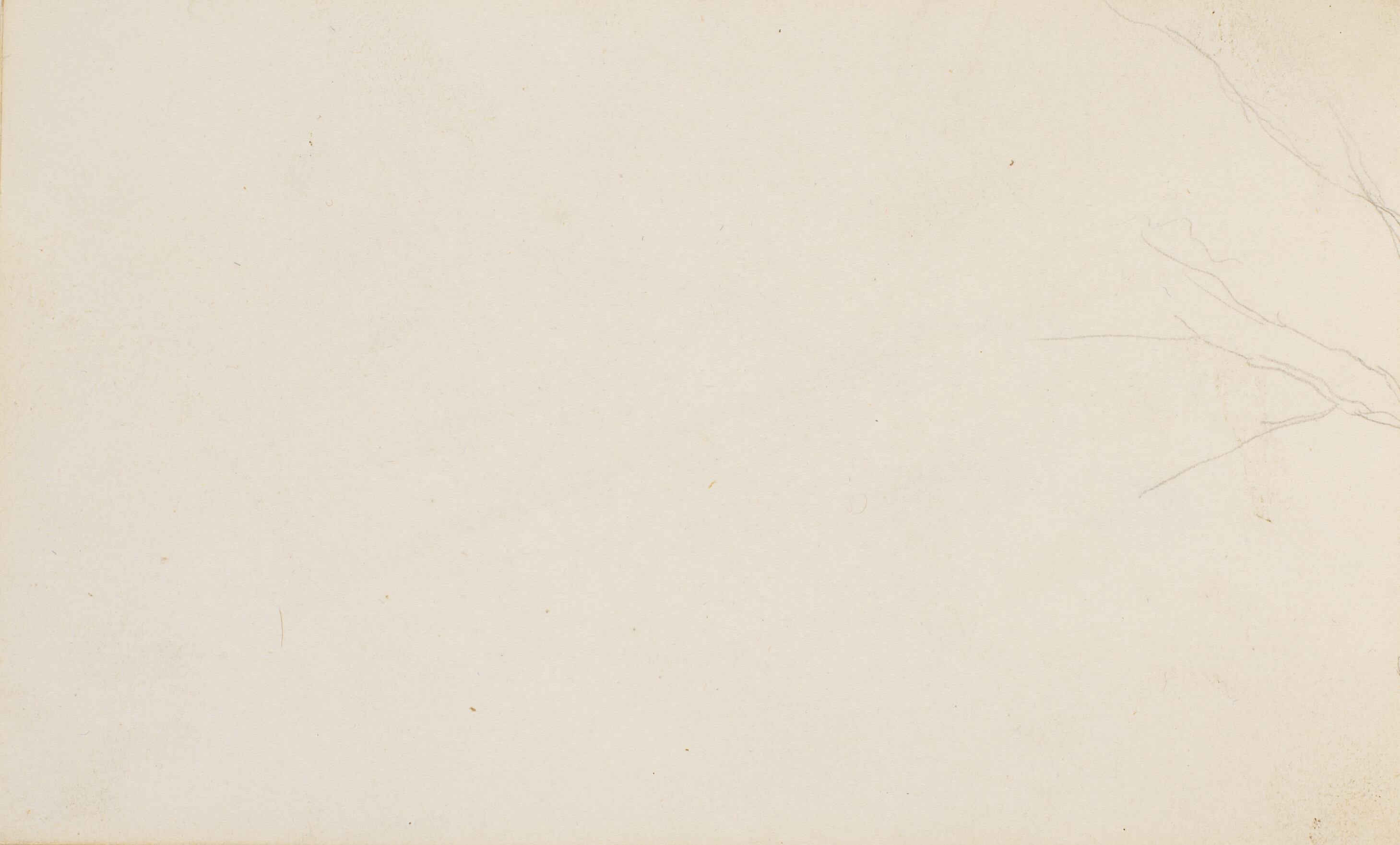 Del af et træstudie (fra side 28)